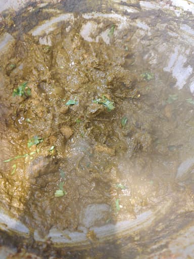 Tasty Saag Gosht cooked by COOX chefs cooks during occasions parties events at home
