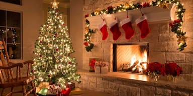 Special Christmas (25 Dec) 🎅 ocassion food prepared by COOX