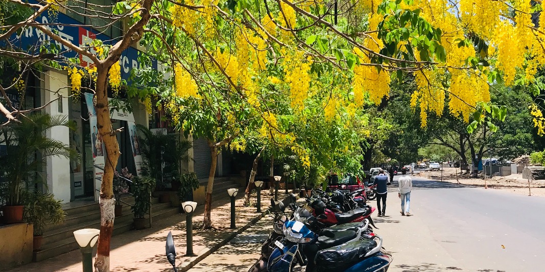 Cooks and Chefs in Thane