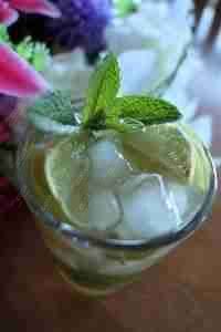 Delicious Mojito prepared by COOX