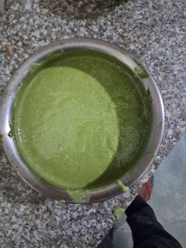 Delicious Green Chutney prepared by COOX