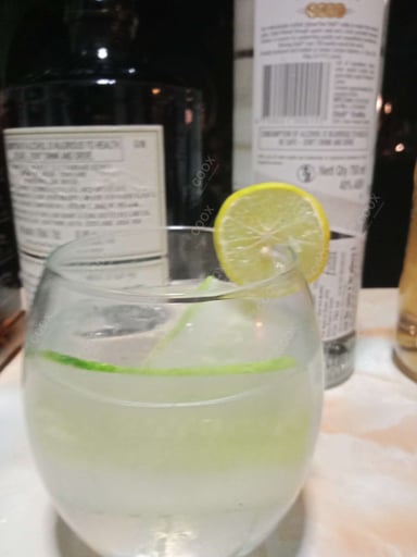 Delicious Gin & Tonic prepared by COOX