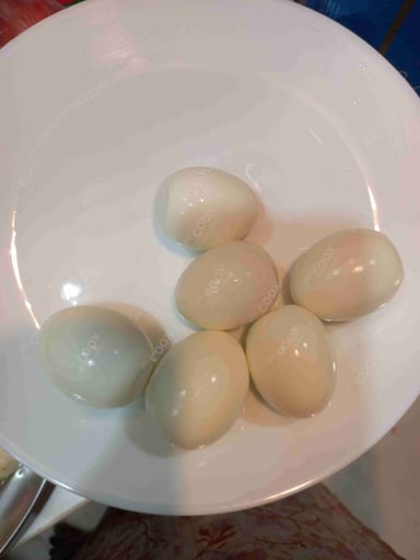 Tasty Boiled Eggs cooked by COOX chefs cooks during occasions parties events at home