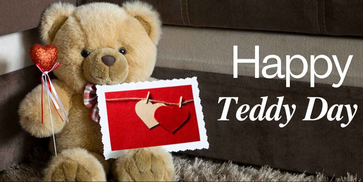 Cooks and Chefs for Teddy day at home