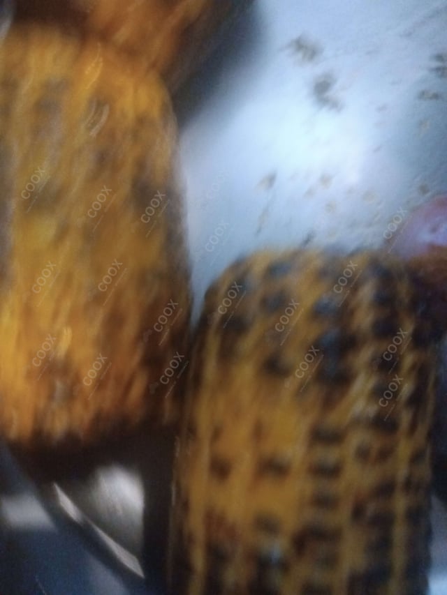 Delicious Grilled Corn prepared by COOX