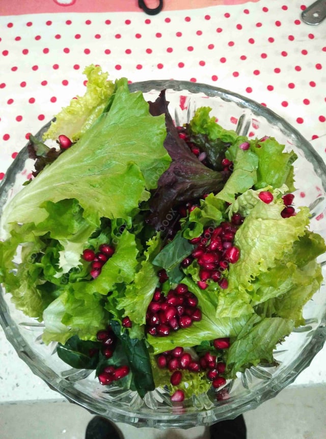 Delicious Salad, Papad prepared by COOX