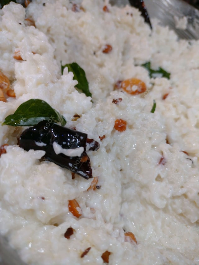 Delicious Curd Rice prepared by COOX